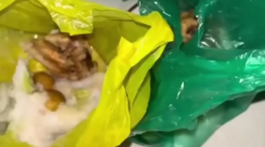 Gambar Artikel Ada MBG Dibagikan Pakai Kantong Plastik, Pakar Kesehatan Soroti Lemahnya Pengawasan