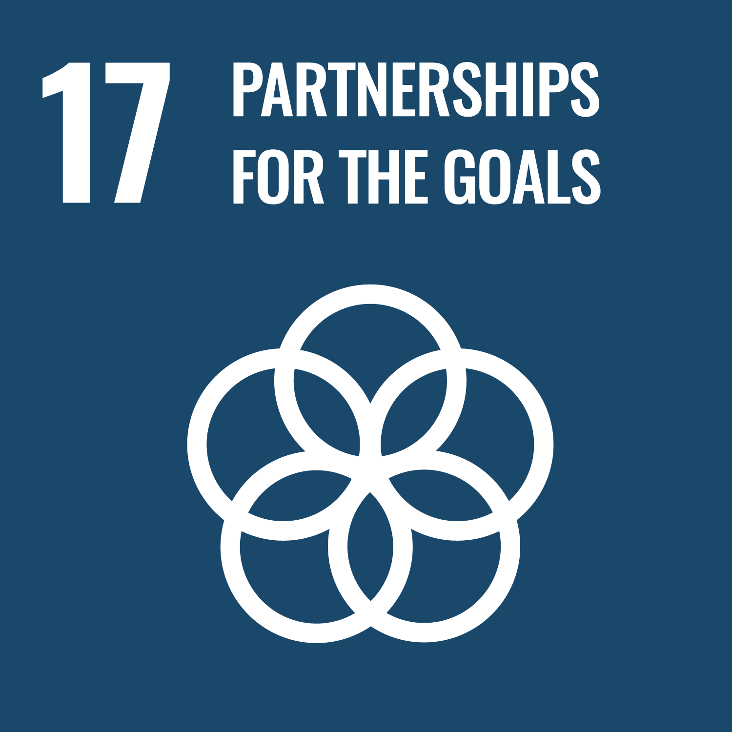 SDG 17 - Kemitraan untuk Mencapai Tujuan